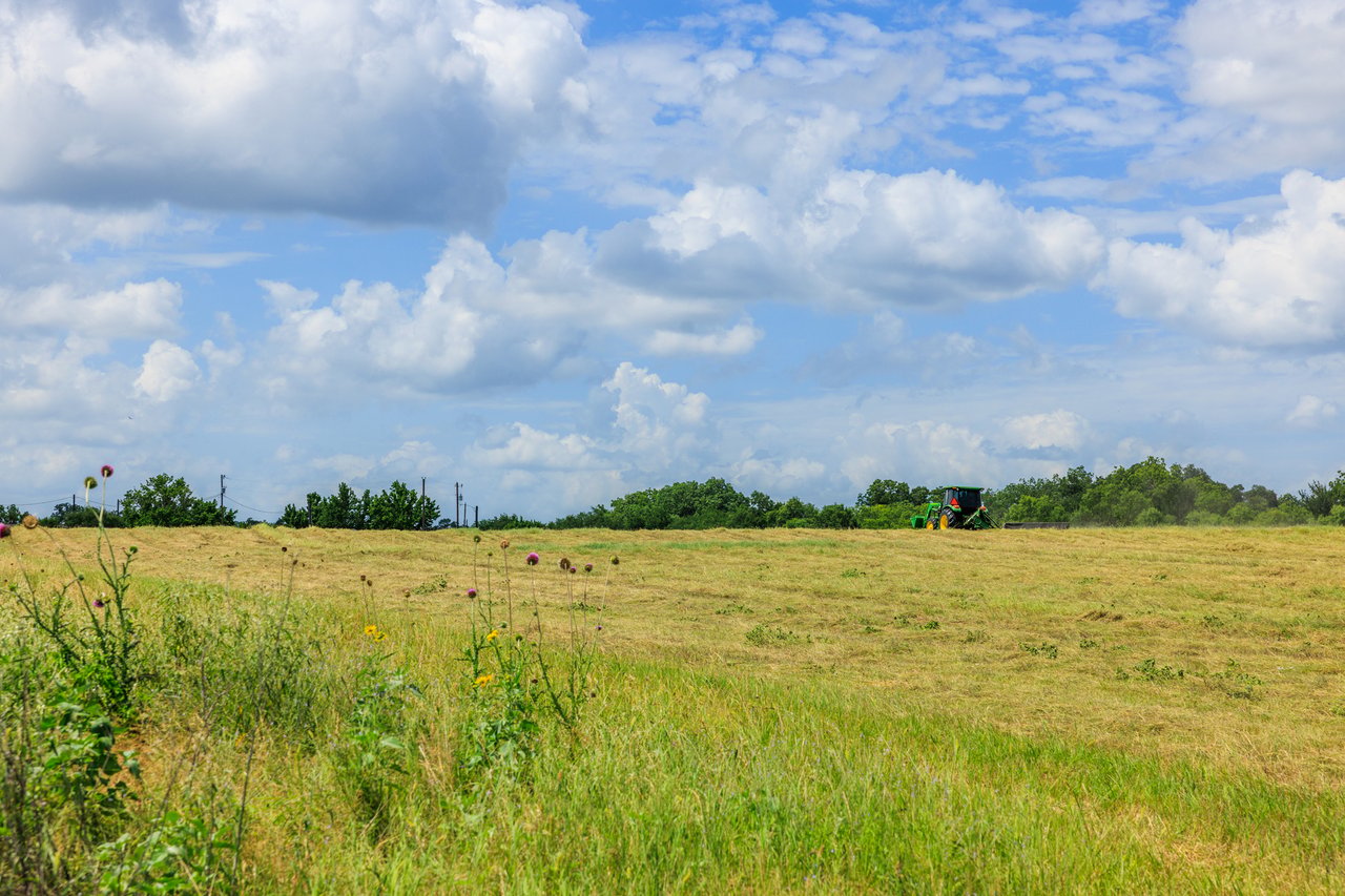 Live Oak Creek Ranch 