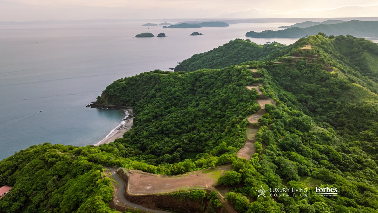 Aerial view of a forested coastal lot with cleared areas, winding access roads, and ocean views.