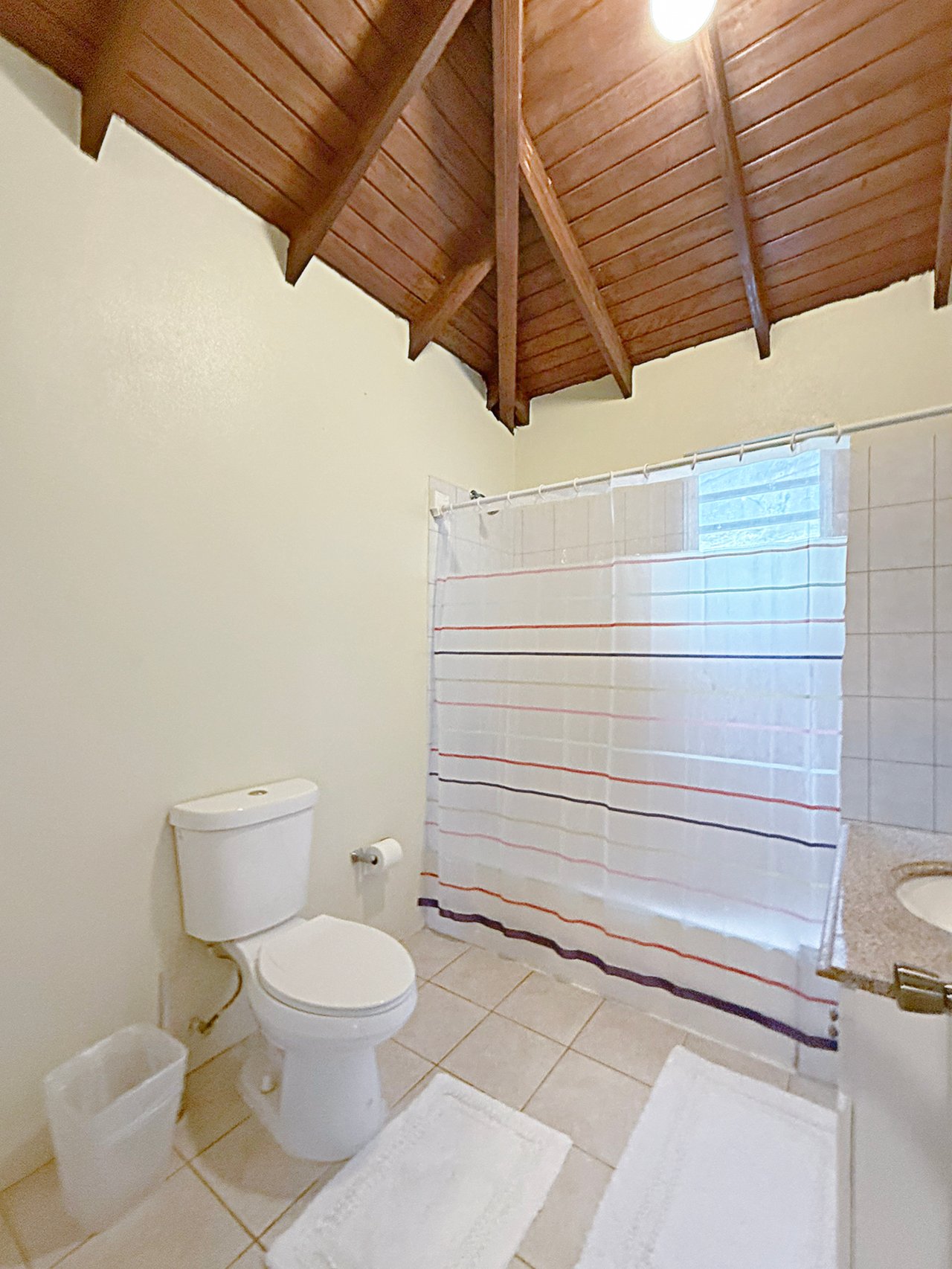 452 Cane Garden Bay 2 Bedroom Apartment