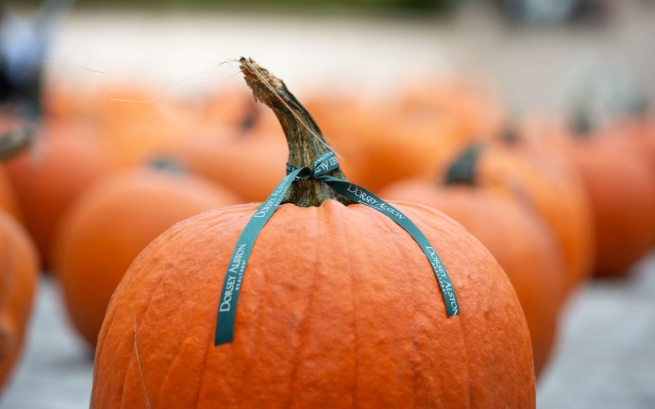 Dorsey Alston Pumpkin Giveaway is Back!