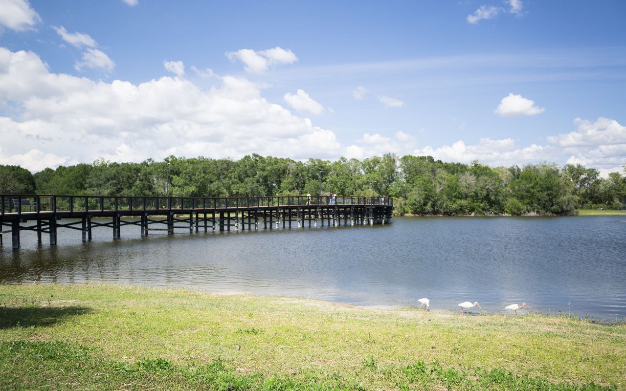 Carrollwood