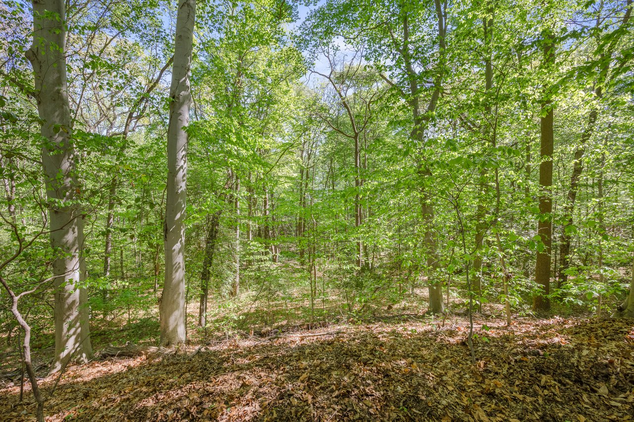 141 Rabbit Run Rd