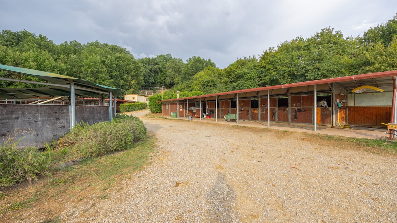TENUTA CAVALLI CELTI