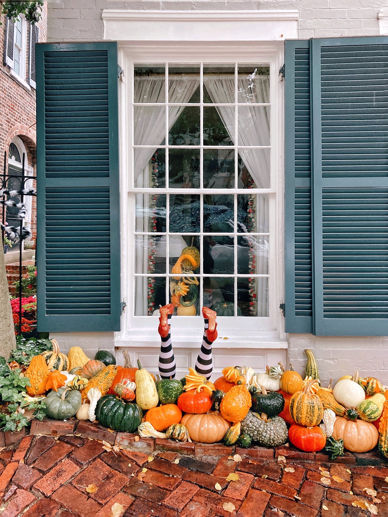 Exploring the Charm of Old Town Alexandria This Fall