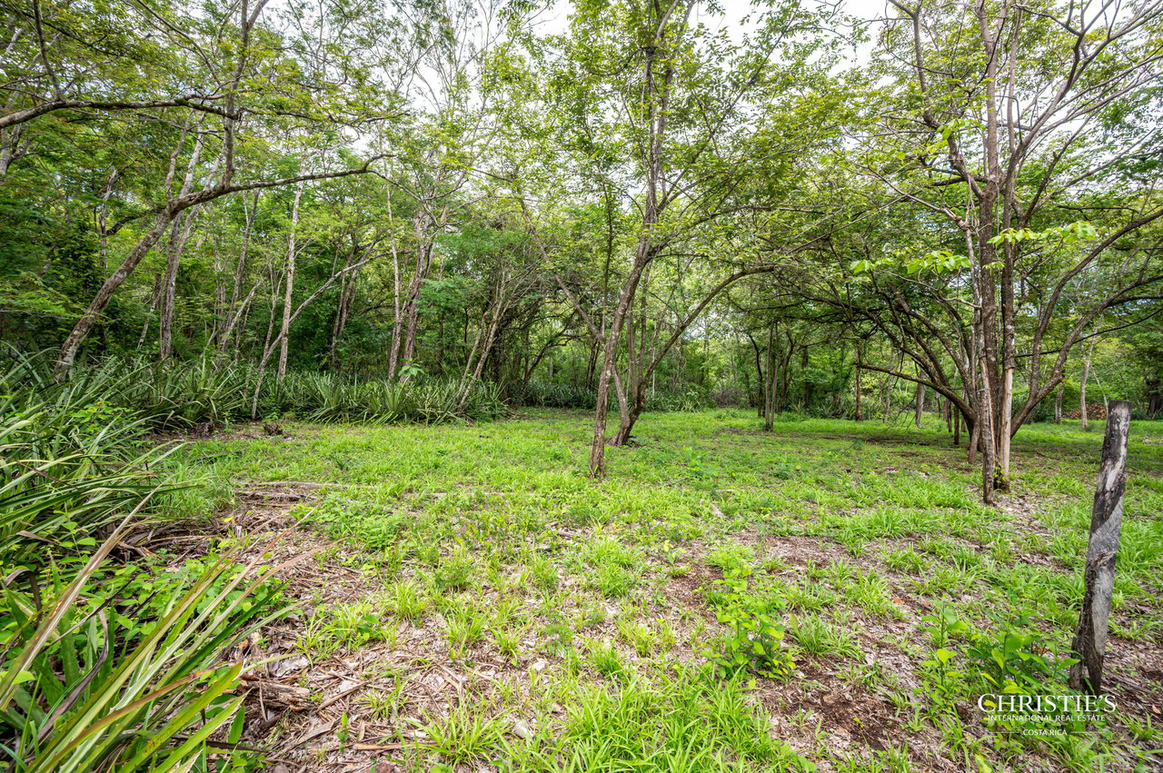  Pacific Estates 11 Homesite in Gated Community 