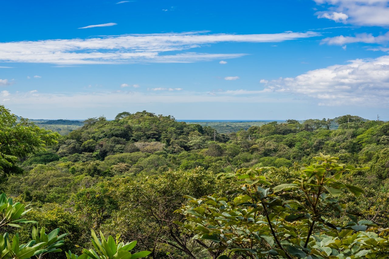 Villa del Bosque | Luxurious Home in Black Stallion with Ocean and Nature Views!