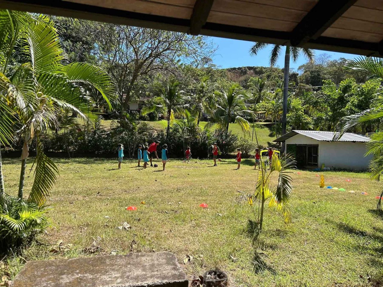 Let’s Play Kid’s Cafe | Turnkey Kid-Friendly Café & Event Business for Sale in Tamarindo’s Roca Mística