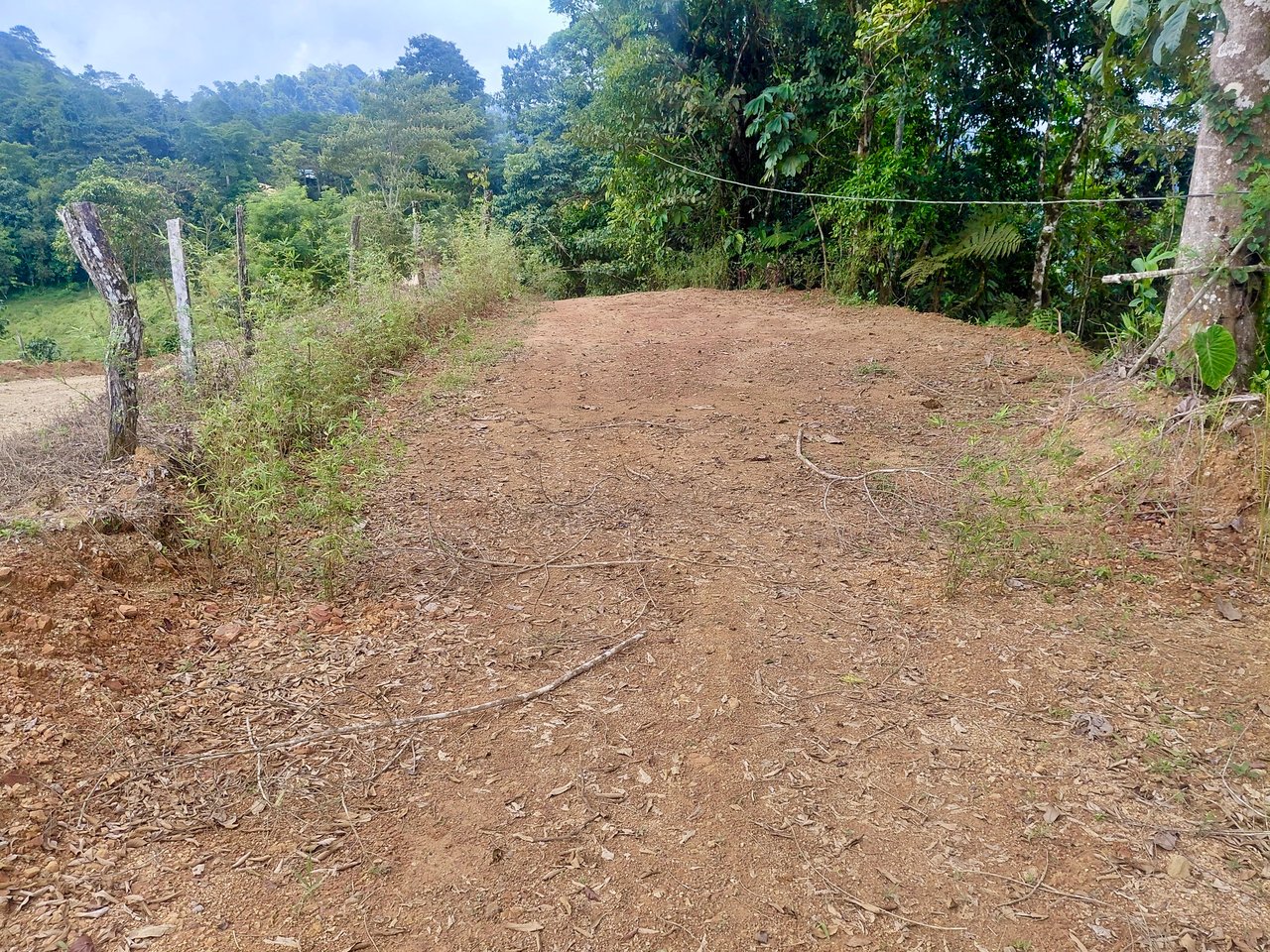 Motivated Seller | Ocean View Lot in San Luis de Morete, Uvita
