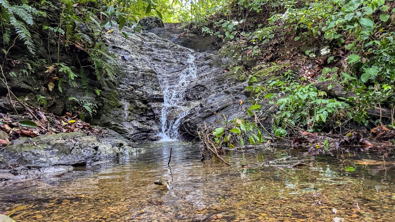 60+ Hectares in Platanillo | Own Your Own Mountain in Costa Rica