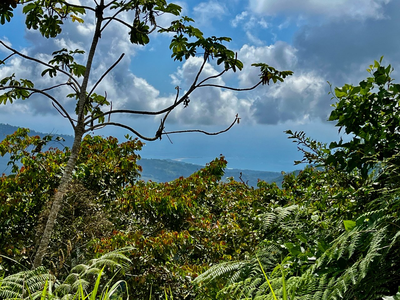 San Luis Ridgetop Ocean & Mountain View Property with Multiple Building Sites!