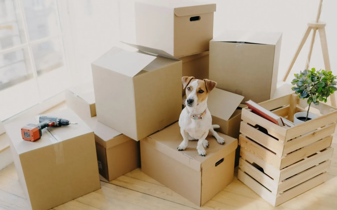 4 Questions to Ask a Guelph Realtor Before Selling Your Home This Year