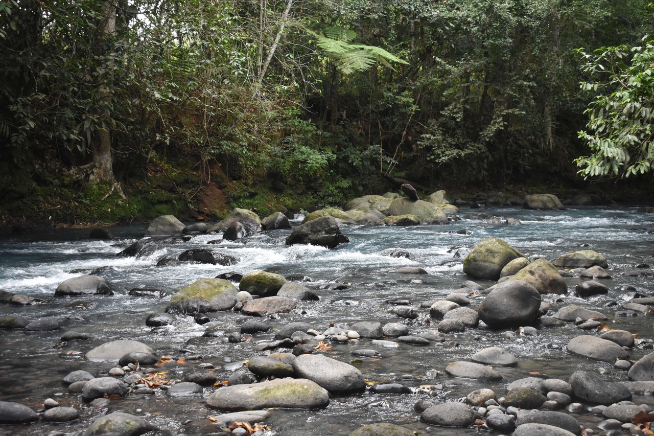 Villa Celeste Land | Embrace a unique 9-hectare Property along Rio Celeste