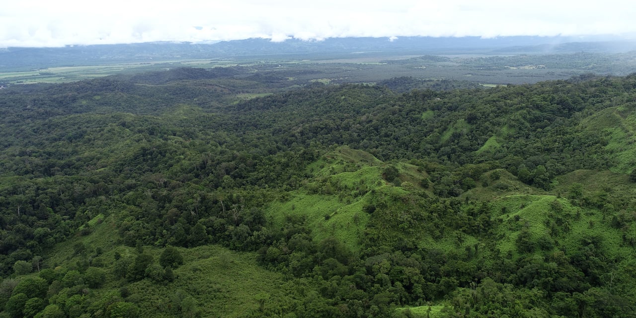 Rainforest Conservation Pasture Land, Osa, Puntarenas