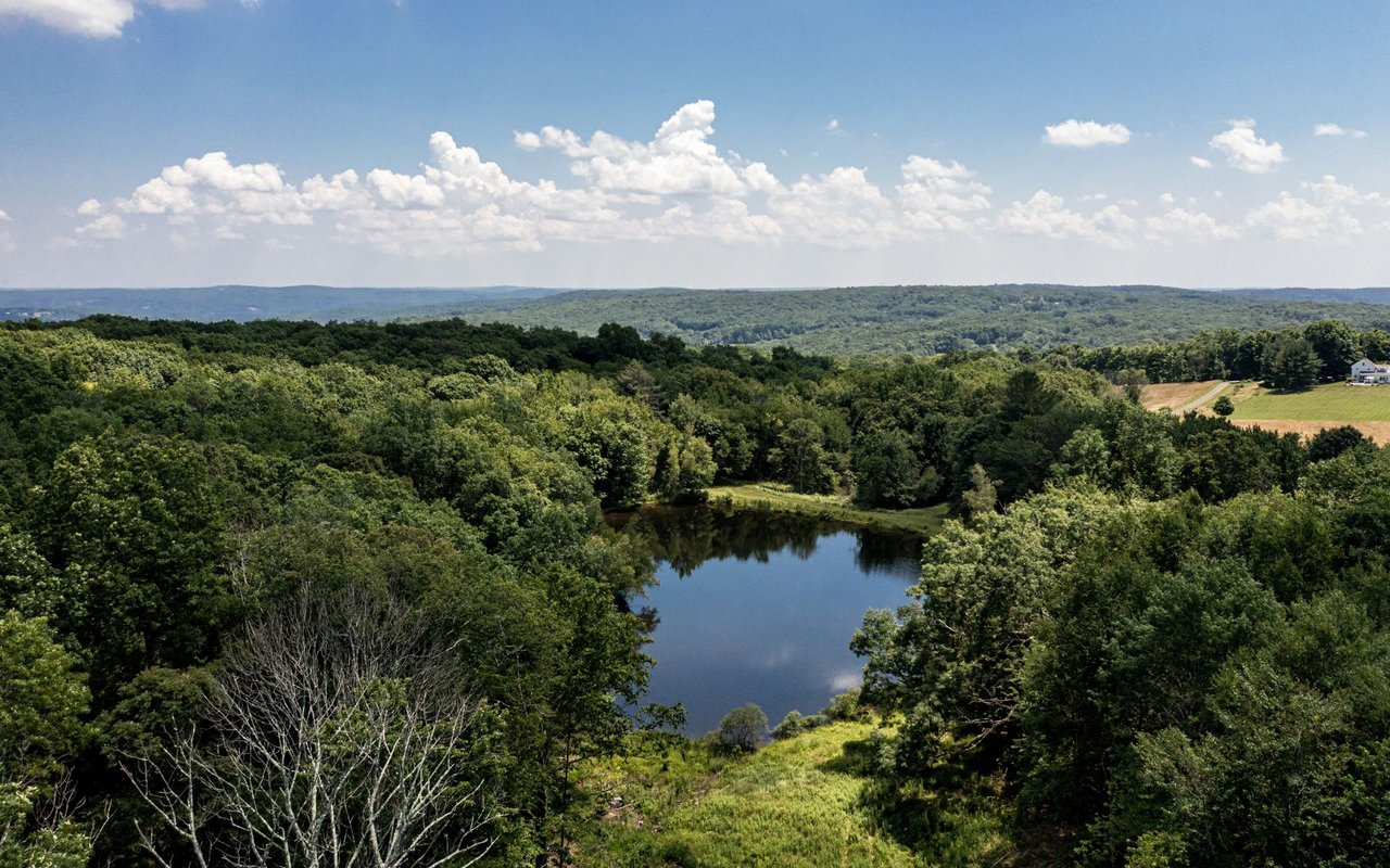 Clover Knolls