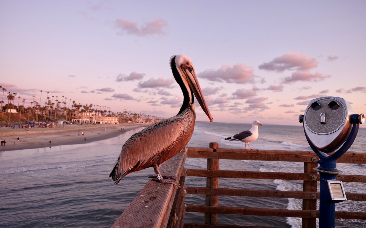 Oceanside