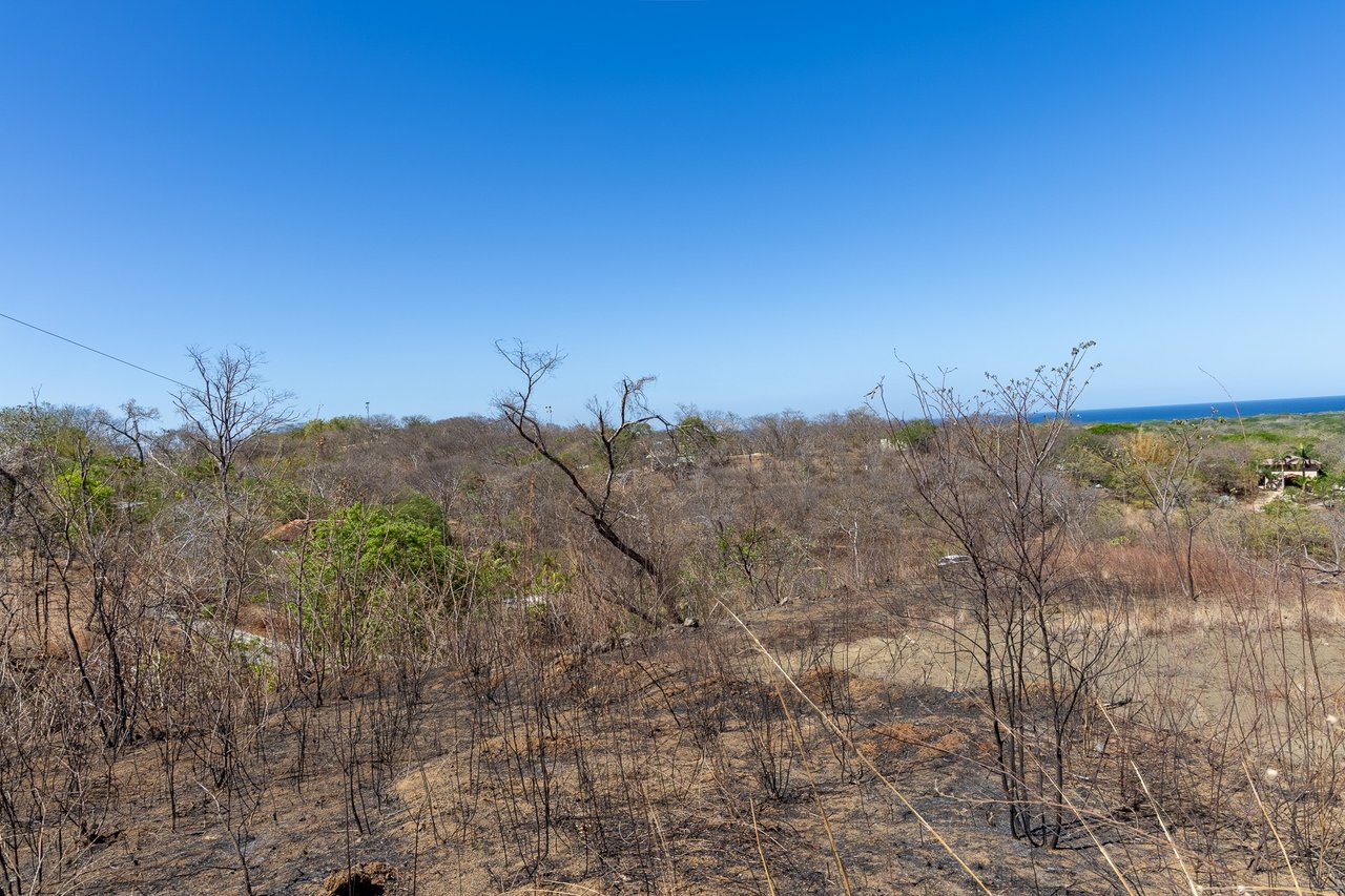 Finca Los Pargos Lot – Oceanview lot with water!, Playa Negra, Guanacaste