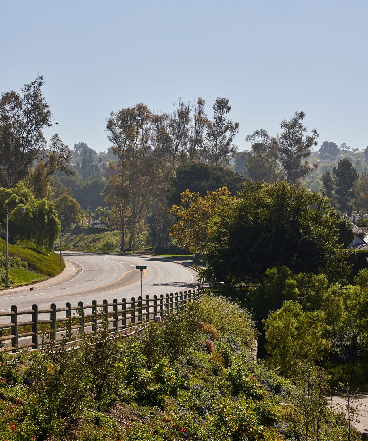 Curving residential road lined with trees, gardens, and a wooden fence.