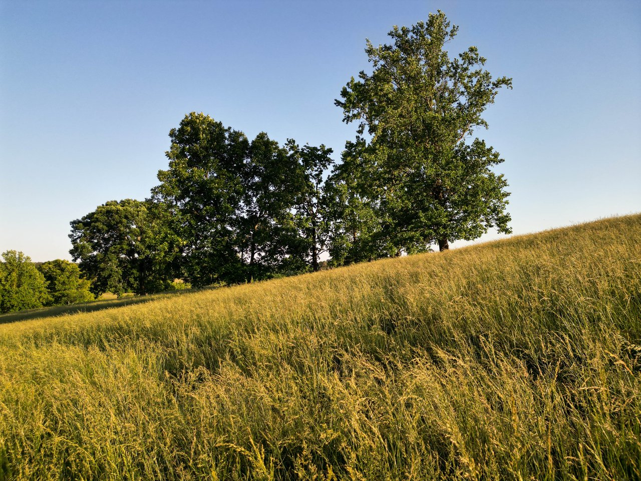 The Ranches at Sandy Creek