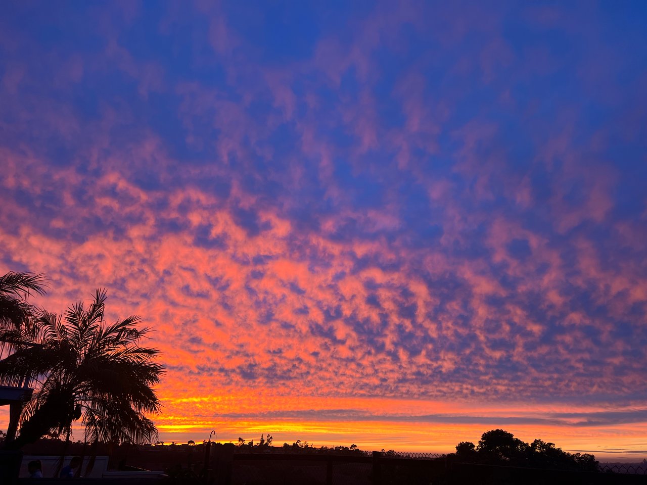 Ocean Views in Calavera Hills