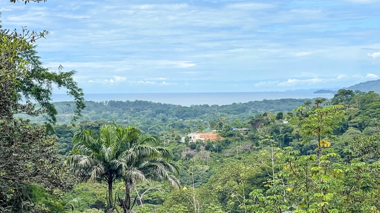 Harmonious Modern Uvita Home with Infinity Pool, Ocean Views, and Rental Options