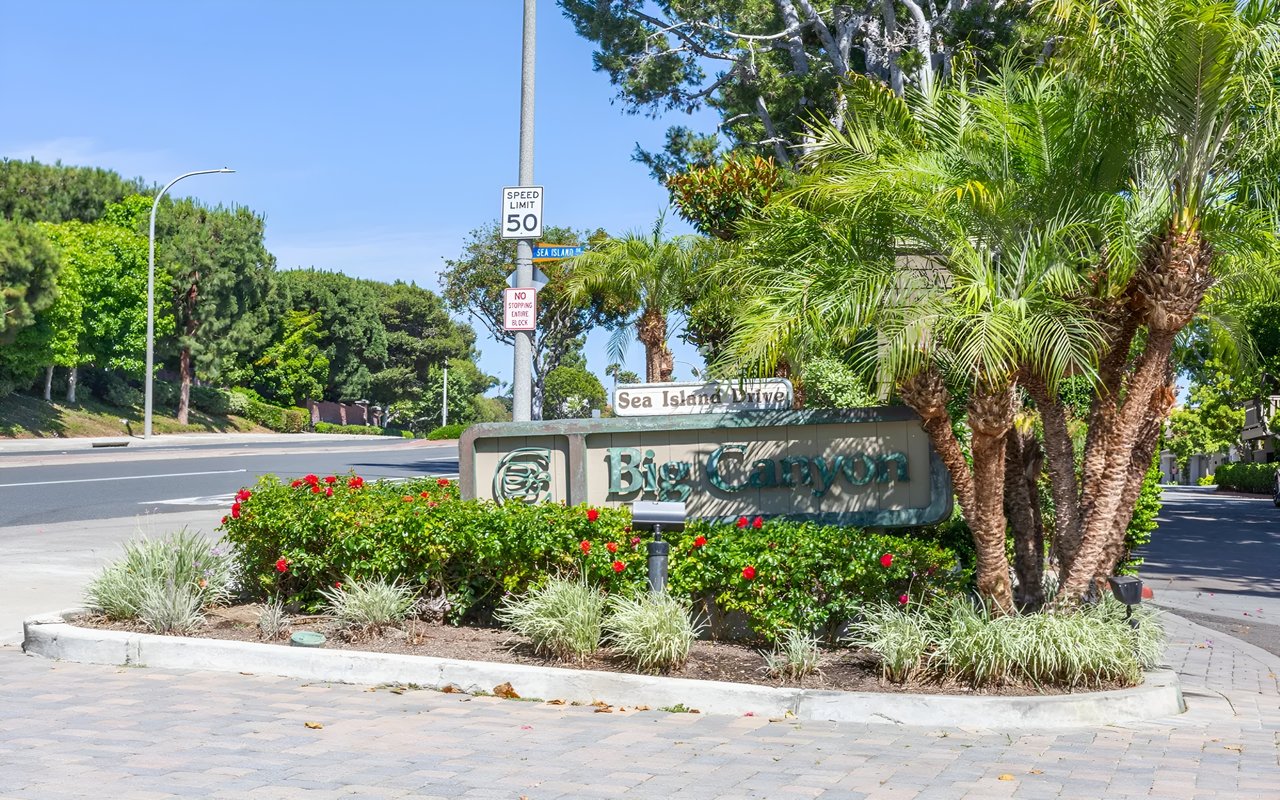 A sunny curb-side photo of the "Big Canyon" neighborhood sign with palm trees and red flowers surrounding it.