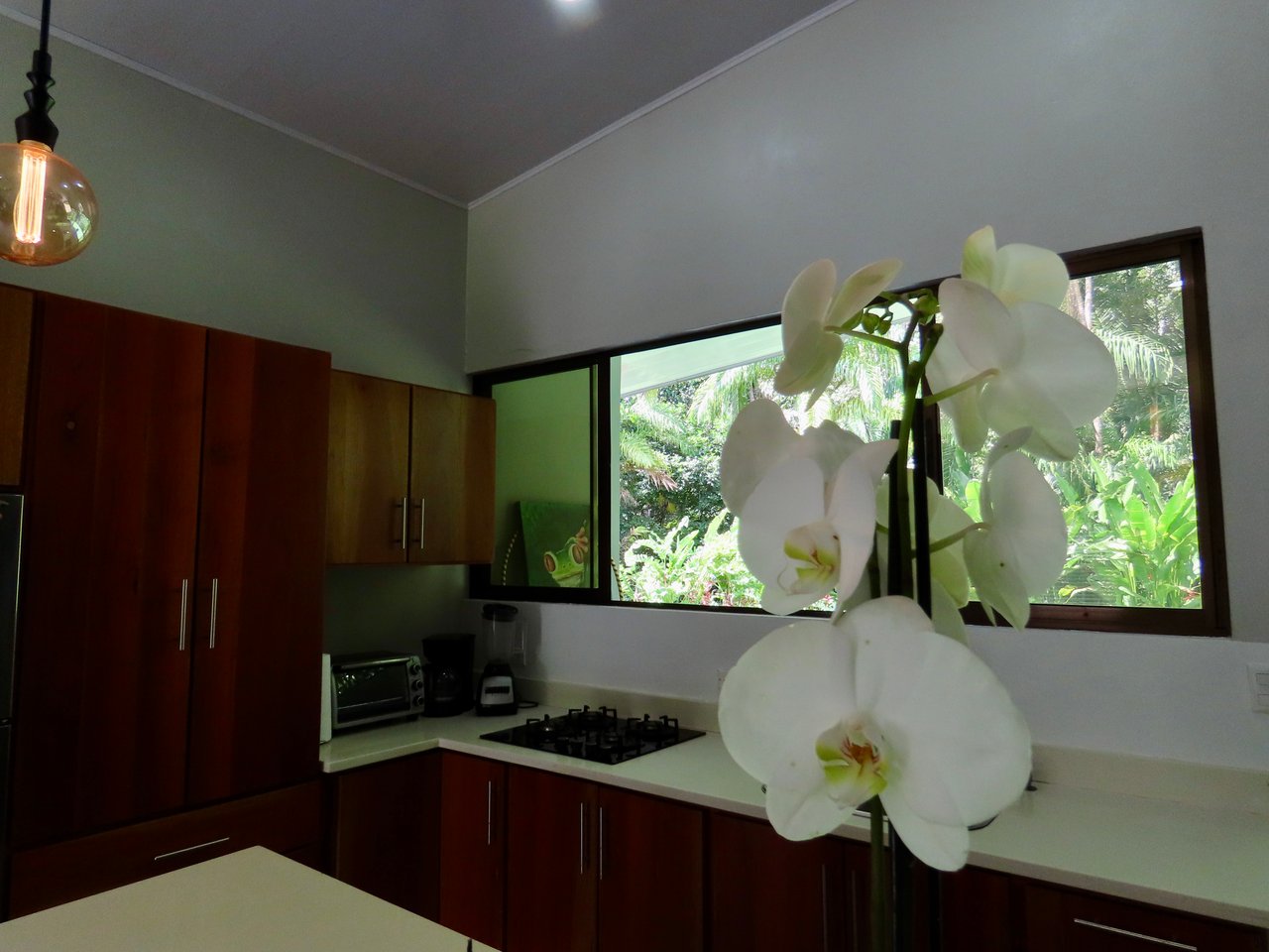 Villa Heliconia | 2 Bed, 2 Bath with Private River Access | Playa Hermosa