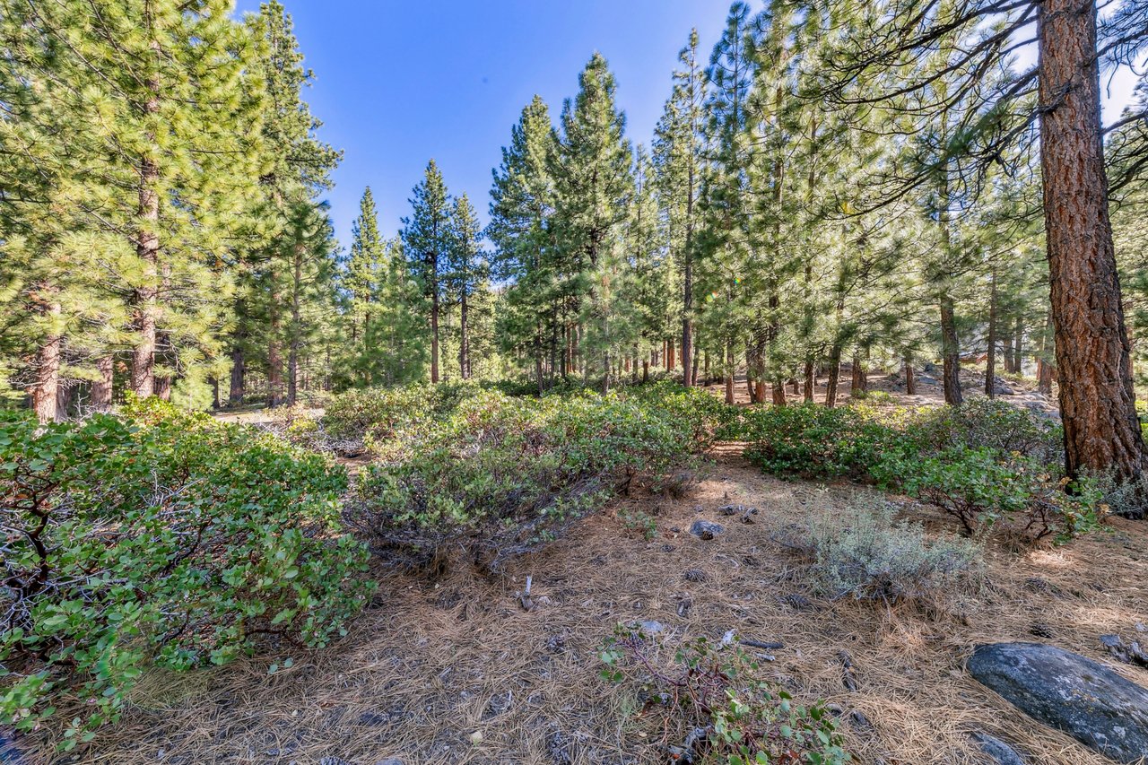Buying Vacant Land in Tahoe & Northern Nevada: What to Know