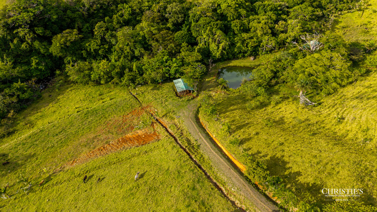 Origins Mineral: A Rare Landholding in Guanacaste’s Volcanic Highlands