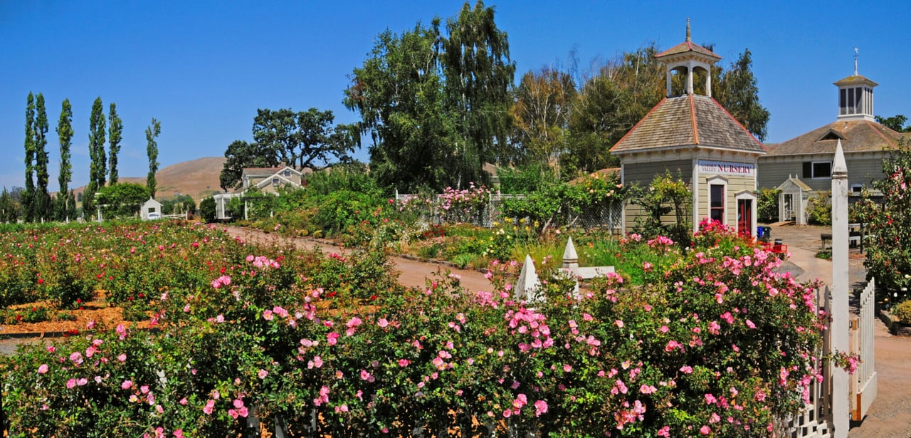 6 Serene Gardens in Sonoma County