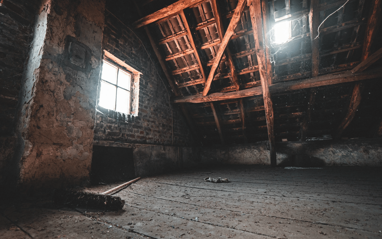 The Hidden Treasure or Time Bomb: Why It's Important to Inspect the Attic When Purchasing a Home