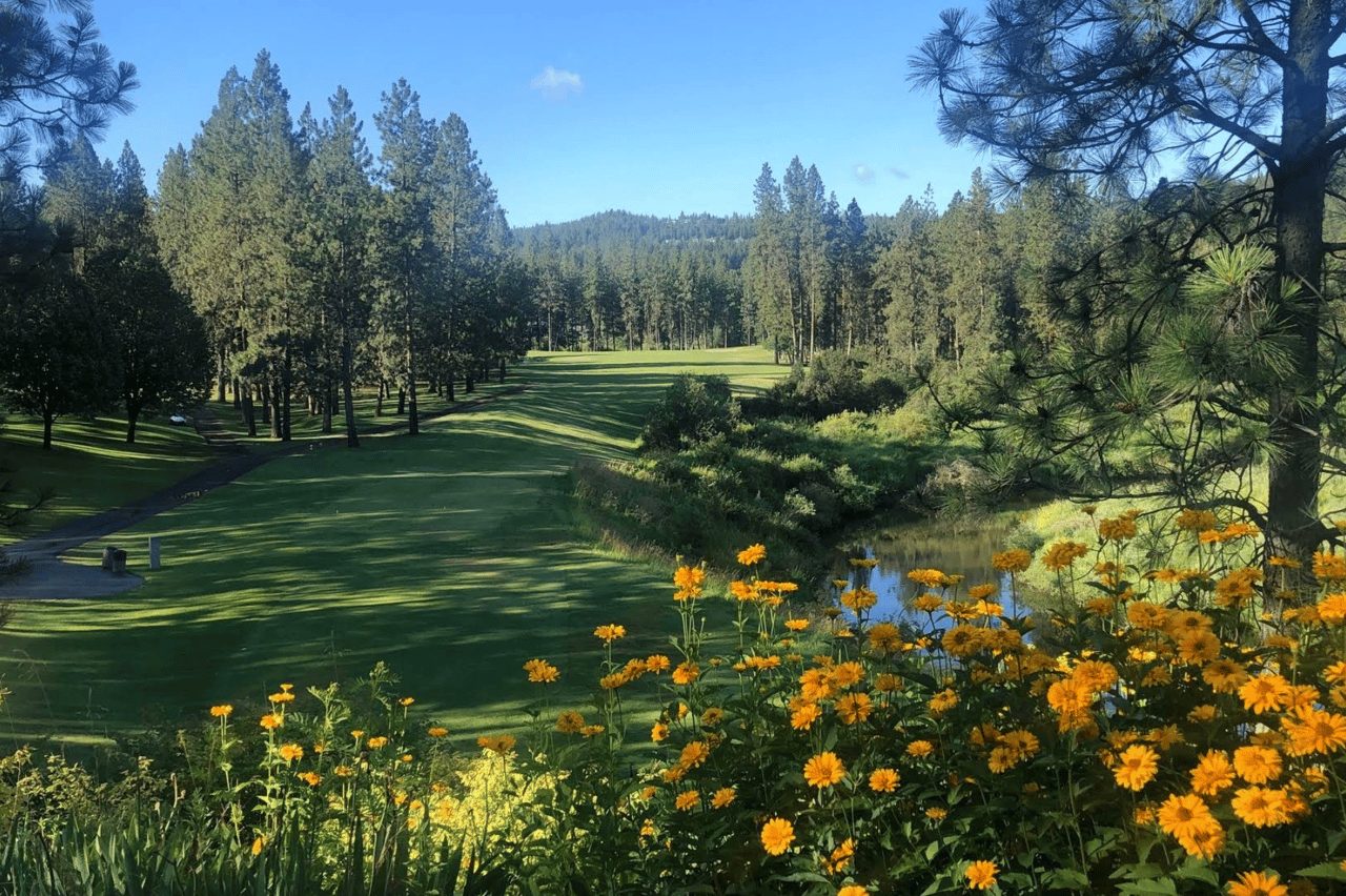 Creek at Qualchan Golf Course
