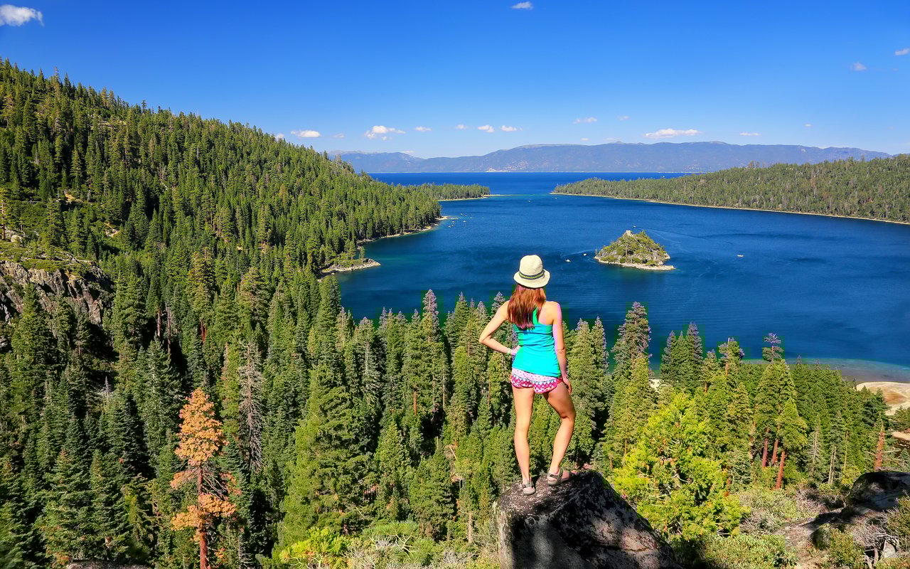 contact-form-background