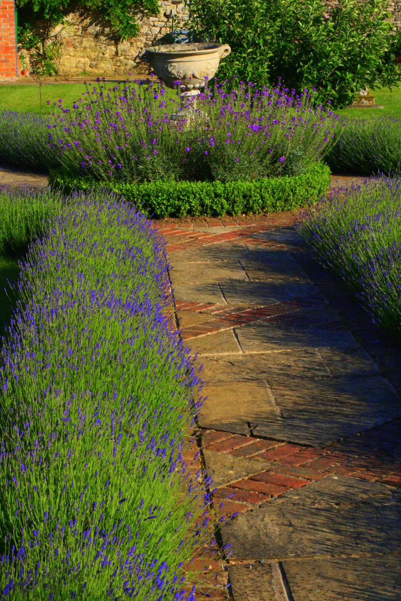 traditional english garden