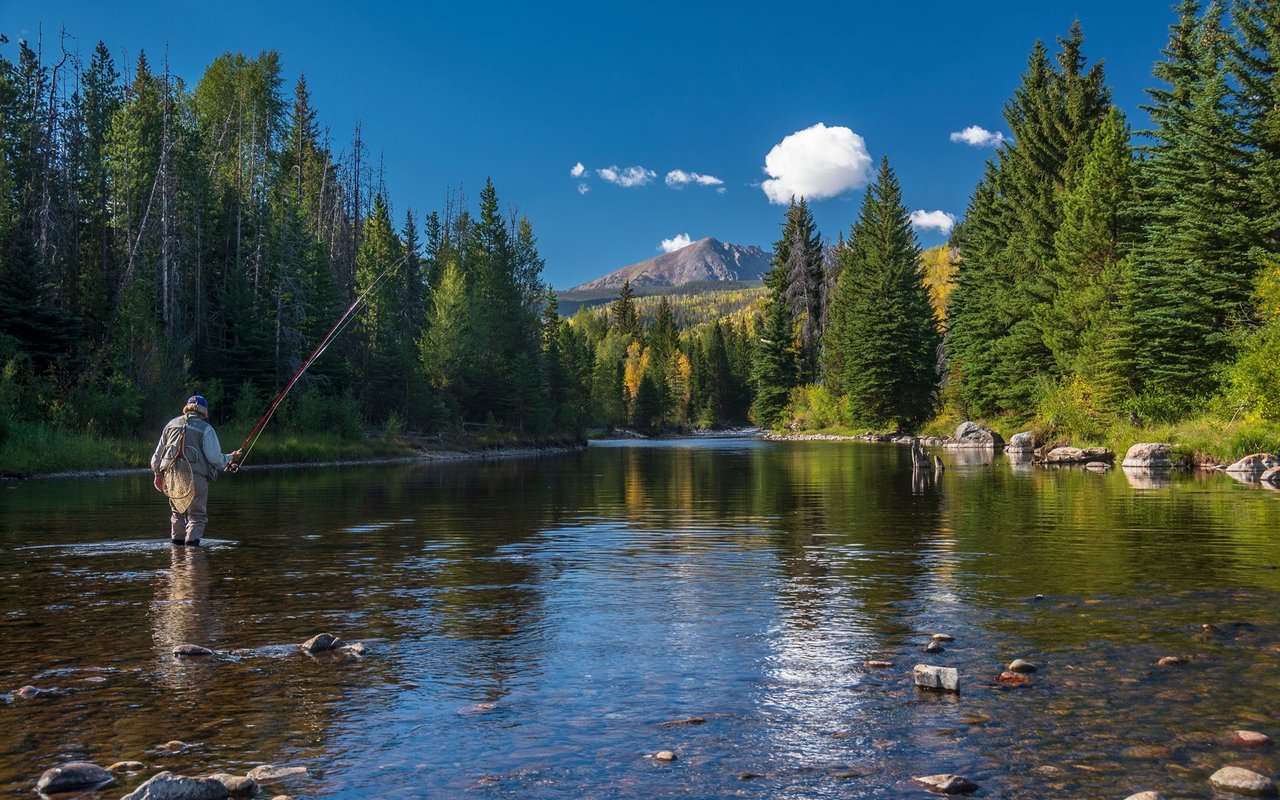 Silverthorne