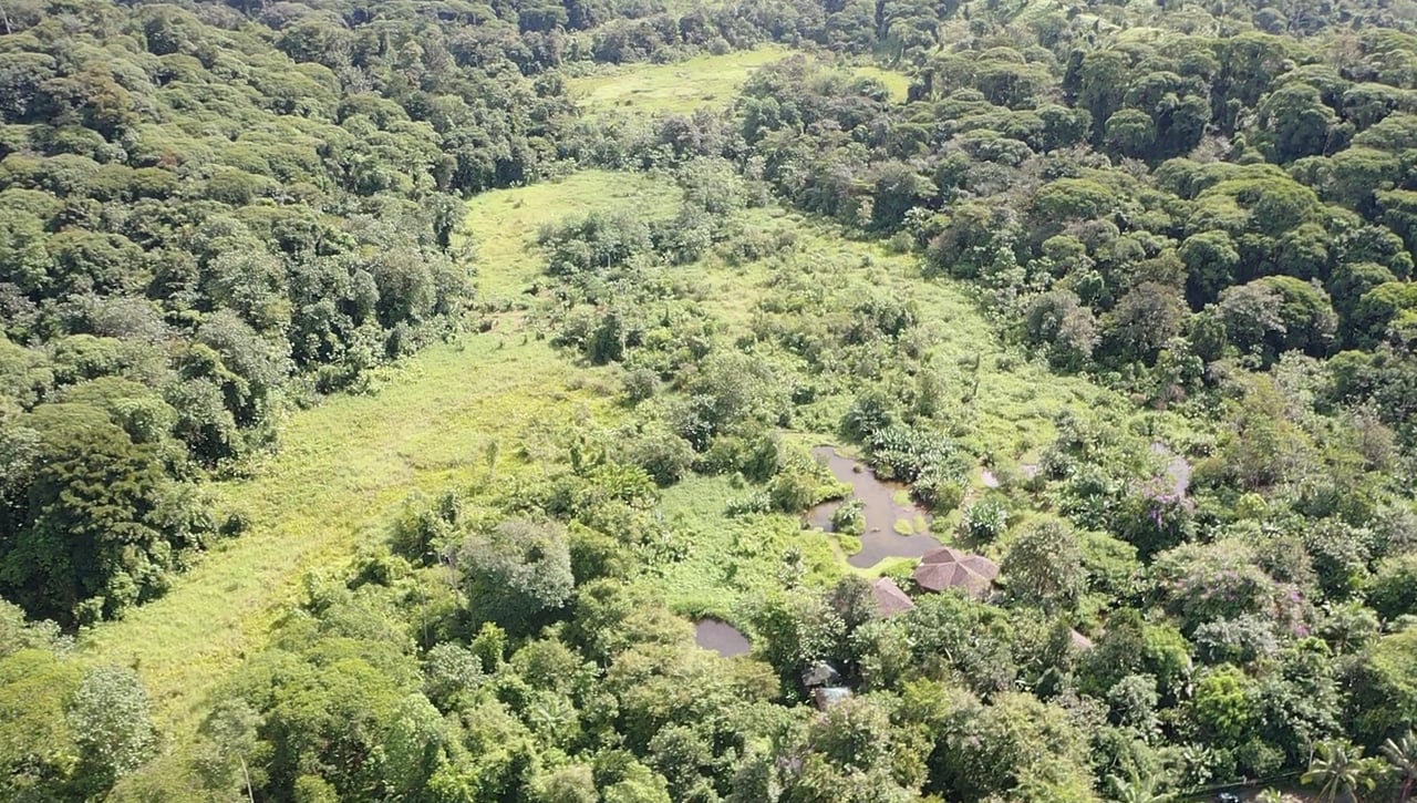 60 Acre Fully Sustainable and Impactful Conservation Initiative Near Golfito