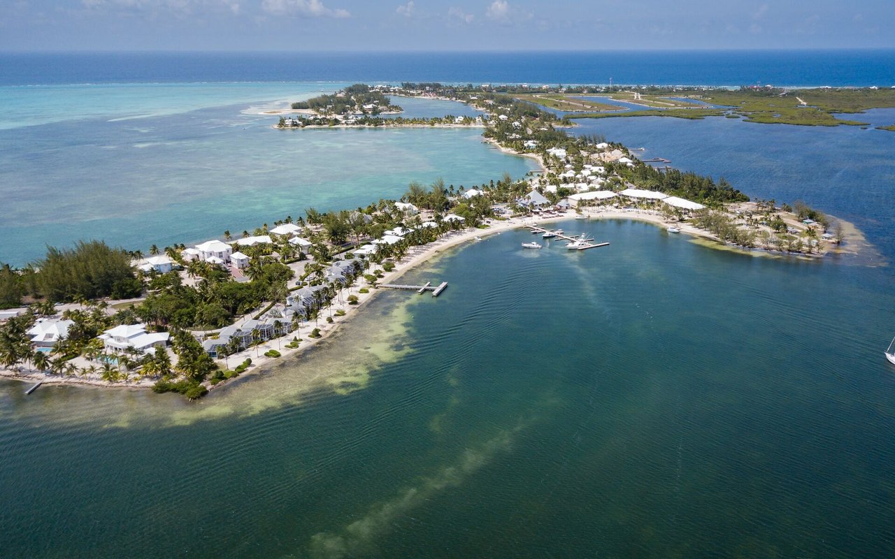 Sheena Conolly From Cayman Islands SIR Loves Our E-News!