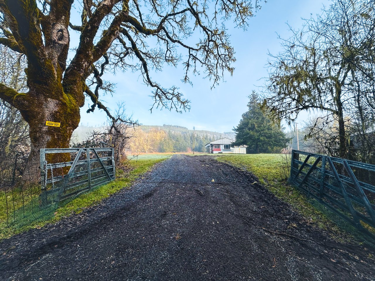 HARRIS FARM & FOREST