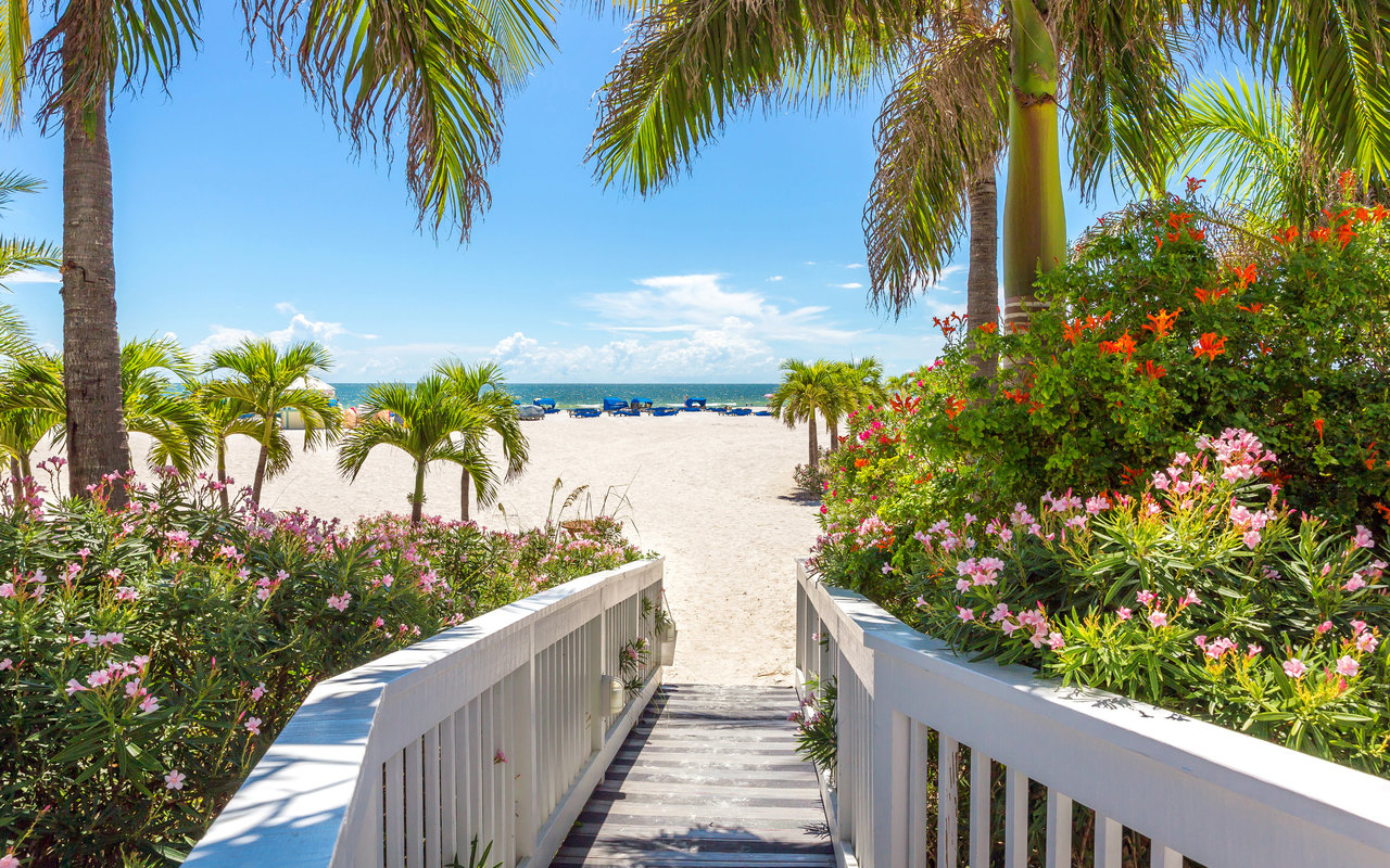 Curious About Local Real Estate?