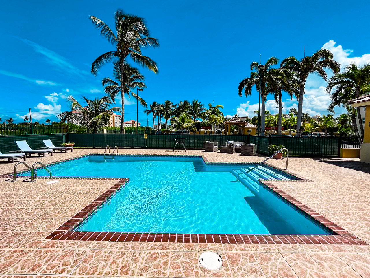 Royal Palm B-502