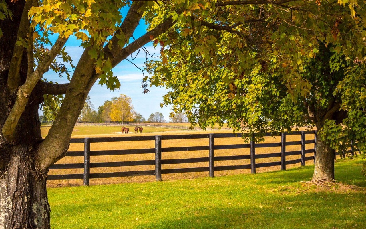  Elizabeth Hume YOUR Idaho REALTOR®