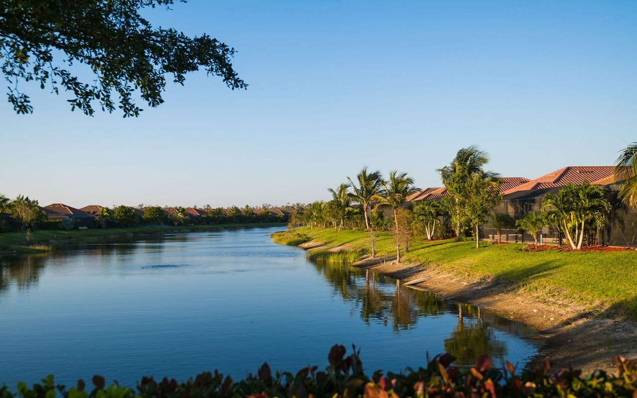 Canal lined with palm trees and homes at Collier’s Reserve.