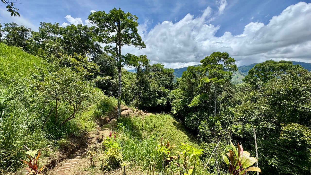 Spring, Waterfalls and more!  Farm in San Vito Limoncito!