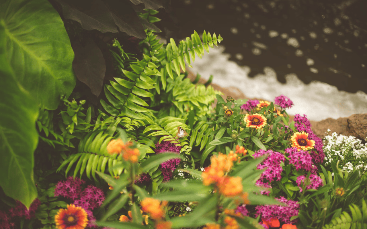 The Role of Landscaping in Boosting Your Home's Aesthetic Appeal