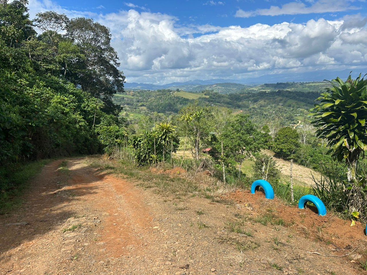 10-Acre Waterfall Farm with Amazing Valley and River View in San Isidro.