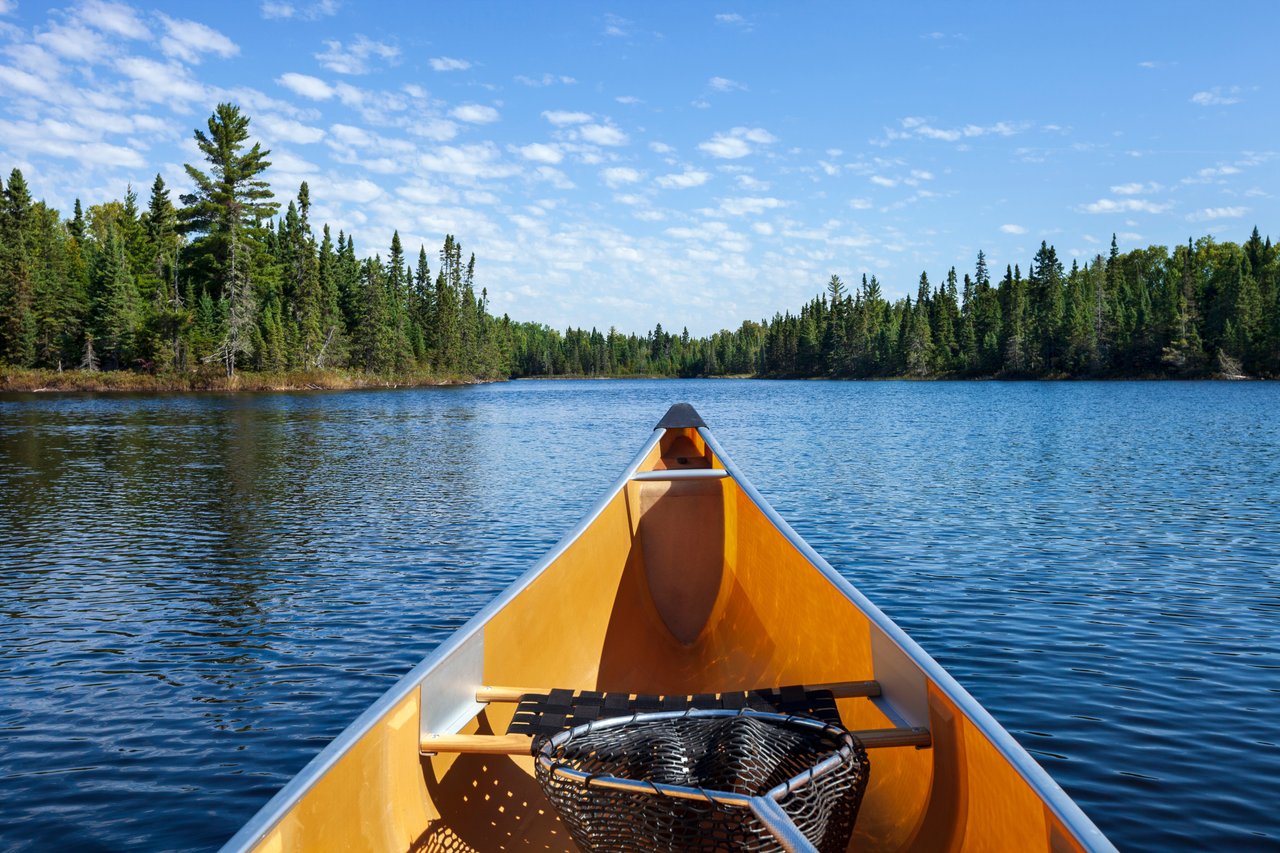 Forest Lake