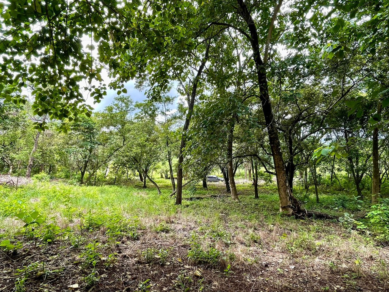 Salanitas Lot | Build Your Dream Home Near Playa Grande