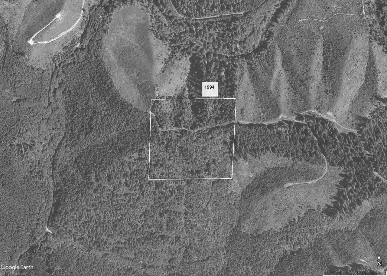 Smith River Back Woods