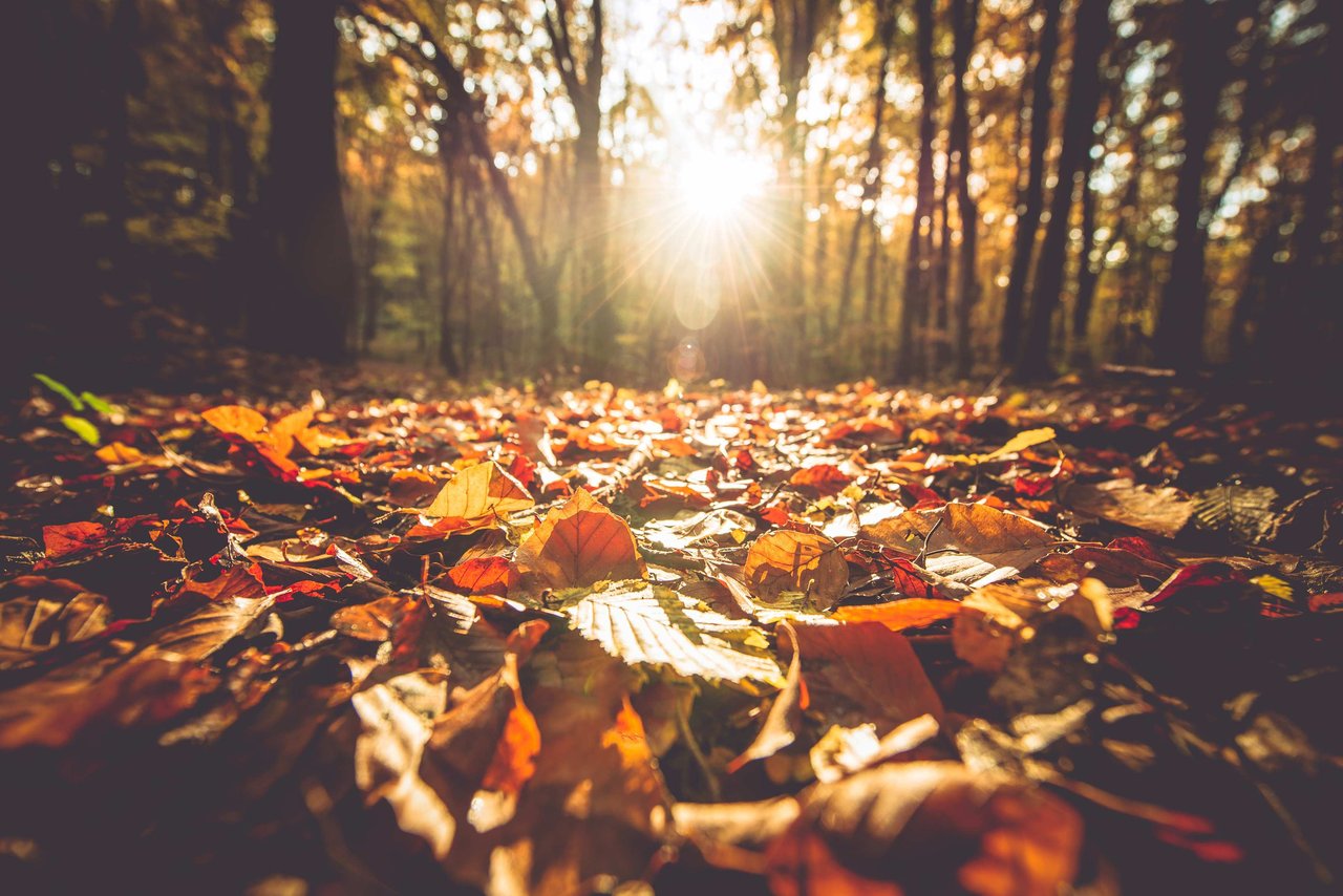 Fall into Fun with Our Autumn Bucket List!