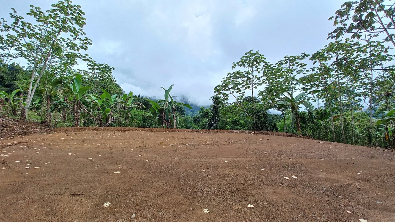Mountain View Land with Several Building Sites and Mature Fruit Trees