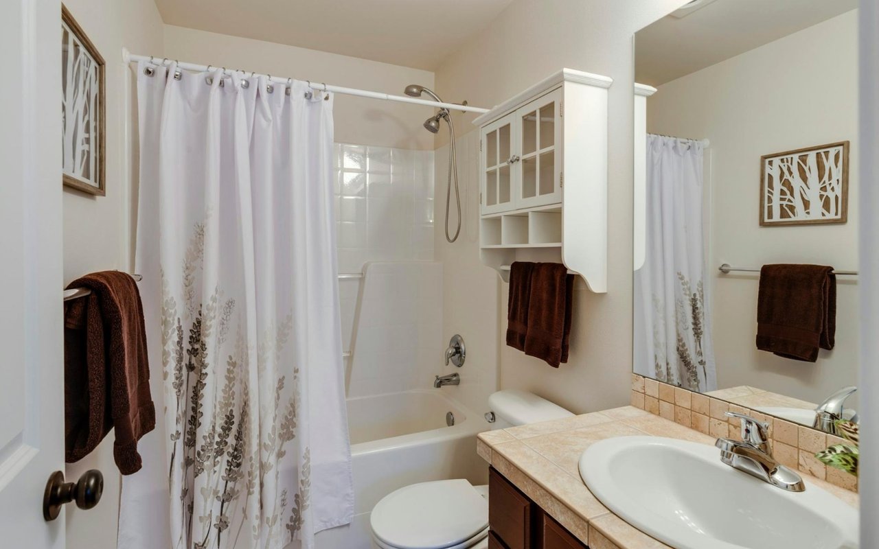 Mold Testing and Removing Mold from a Tampa Bay, FL, Property